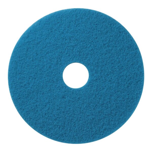 20 BLUE SCRUB PAD